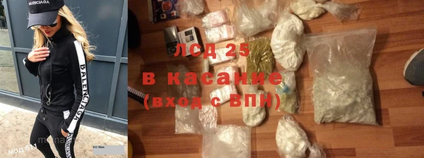 ECSTASY Алзамай