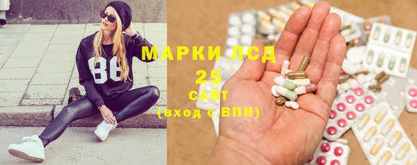 ECSTASY Алзамай